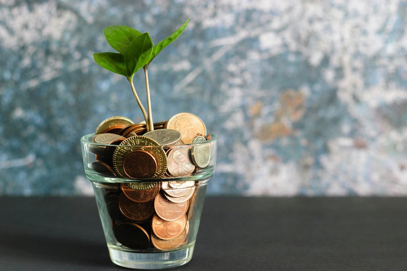 Wealth preservation strategy